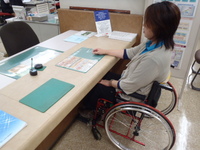 Medium_pa032964