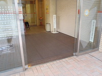 Medium_pa032946