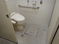 Medium_pa032981