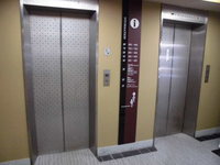 Medium_cimg4777