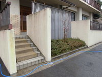 Medium_cimg4750