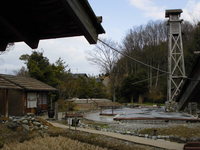 Medium_cimg4860