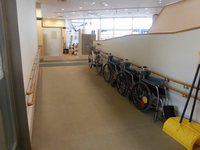 Medium_cimg3924