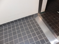 Medium_dscf5116