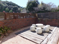 Medium_dscf5104