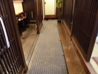 Medium_cimg3828