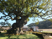 Medium_dscf5141