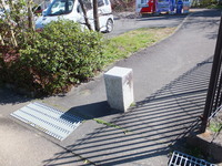 Medium_dscf5154