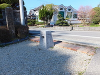 Medium_dscf5140