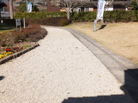 Medium_dscf5151