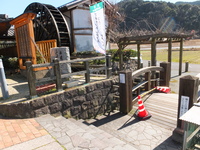 Medium_dscf5145