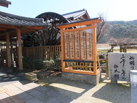 Medium_dscf5147