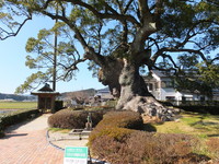 Medium_dscf5149