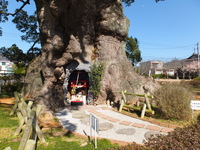 Medium_dscf5142