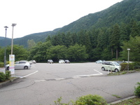 Medium_p7240743