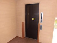 Medium_cimg4387