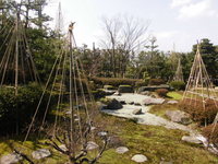 Medium_cimg4684