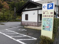 Medium_cimg0695