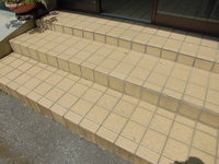 Medium_cimg5309