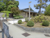 Medium_cimg6646