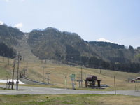 Medium_cimg6463