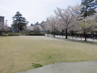 Medium_cimg5435