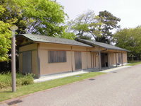 Medium_cimg6688
