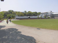 Medium_cimg6755