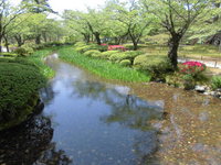 Medium_cimg5563