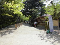 Medium_cimg6800