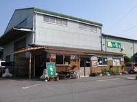 Medium_img_1038