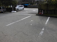 Medium_cimg3375