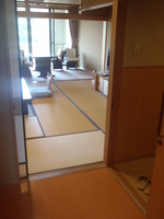 Medium_p8192160