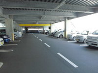 Medium_cimg5901