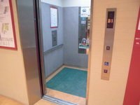 Medium_cimg5784