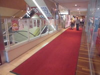 Medium_cimg5948