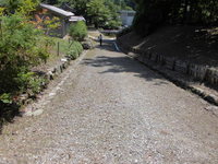 Medium_大宮坊坂１