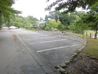 Medium_035