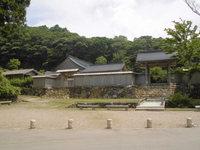 Medium_023