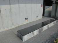 Medium_cimg5216