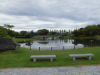 Medium_080