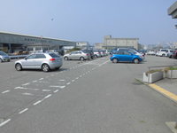 Medium_cimg5194