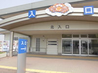 Medium_cimg5193