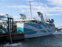 Medium_img_0889