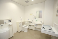 Medium_ibf140930-0016s