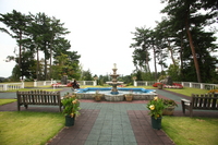 Medium_ibf140924-0039