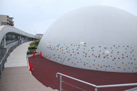 Medium_ibf140930-0271s