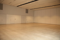 Medium_ibf140930-0191s
