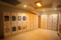 Medium_ibf140930-0077s