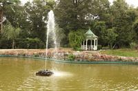 Medium_ibf140924-0069